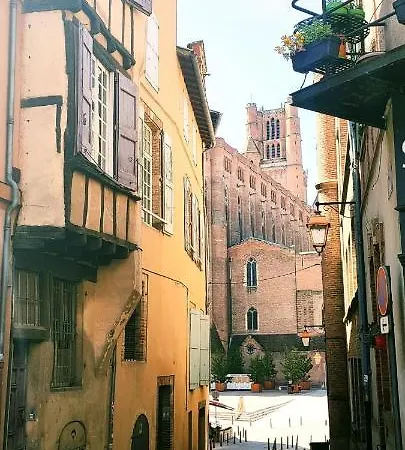 Le Dandy - Hyper Centre - Albi