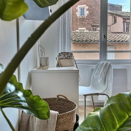 Le Dandy - Hyper Centre - Albi * Albi